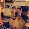 tina_hesse